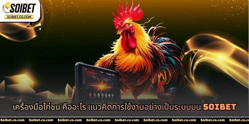 เครื่องมือไก่ชน