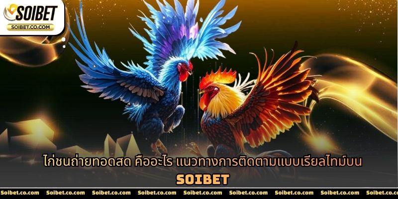 ไก่ชนถ่ายทอดสด