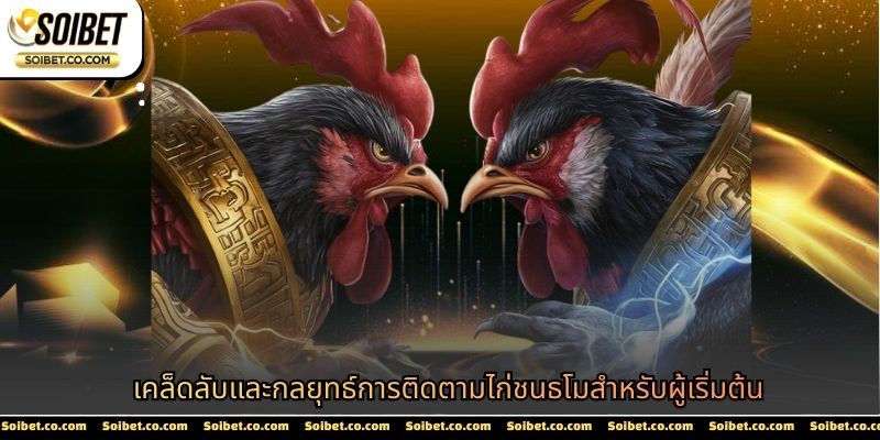 ไก่ชนธโม