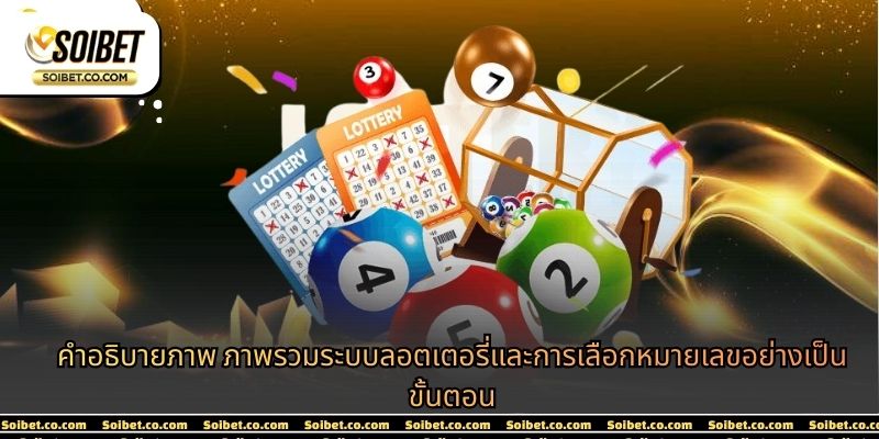 คำอธิบายภาพ ภาพรวมระบบลอตเตอรี่และการเลือกหมายเลขอย่างเป็นขั้นตอน