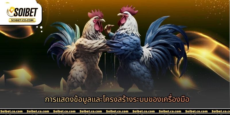 การแสดงข้อมูลและโครงสร้างระบบของเครื่องมือ