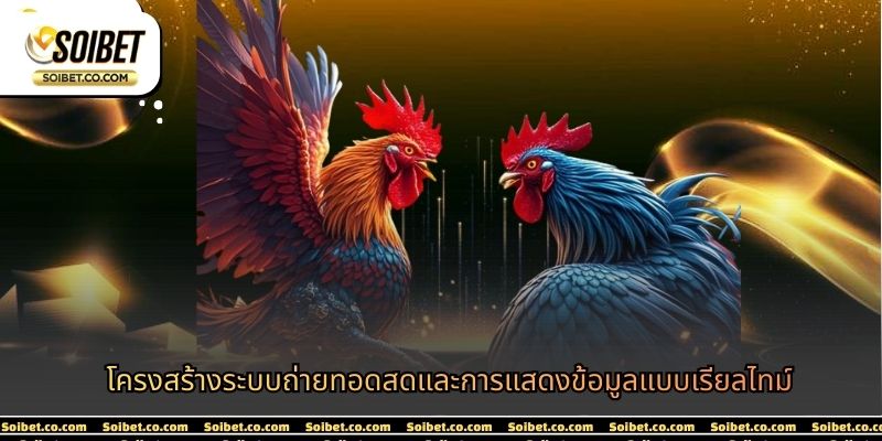 โครงสร้างระบบถ่ายทอดสดและการแสดงข้อมูลแบบเรียลไทม์