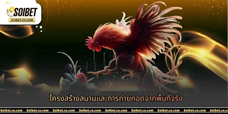 โครงสร้างสนามและการถ่ายทอดจากพื้นที่จริง