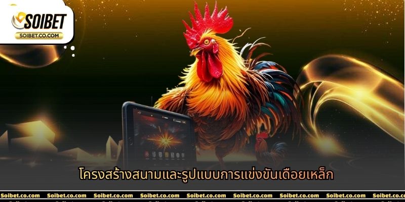 โครงสร้างสนามและรูปแบบการแข่งขันเดือยเหล็ก