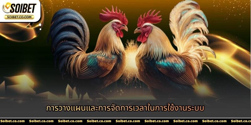 การวางแผนและการจัดการเวลาในการใช้งานระบบ