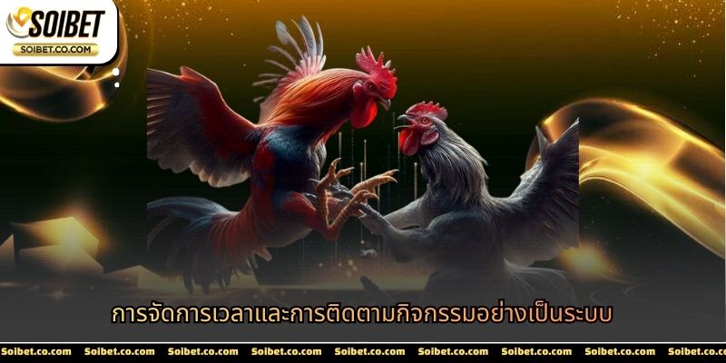 การจัดการเวลาและการติดตามกิจกรรมอย่างเป็นระบบ