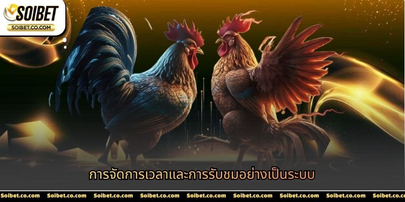 การจัดการเวลาและการรับชมอย่างเป็นระบบ