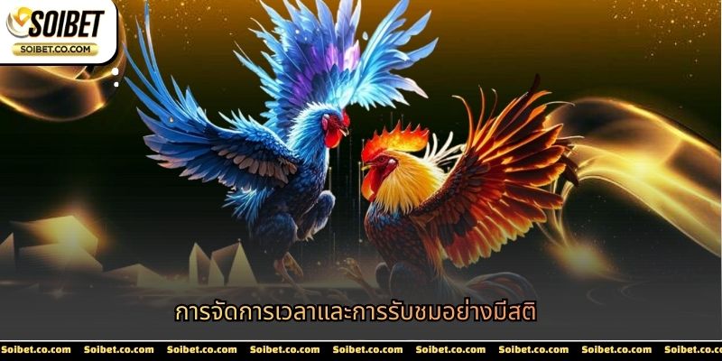 การจัดการเวลาและการรับชมอย่างมีสติ