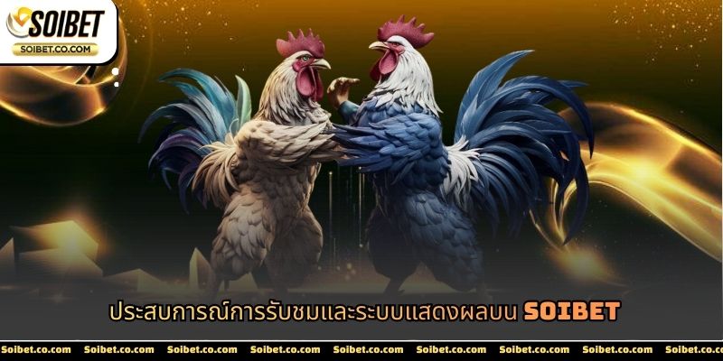 ประสบการณ์การรับชมและระบบแสดงผลบน SOIBET