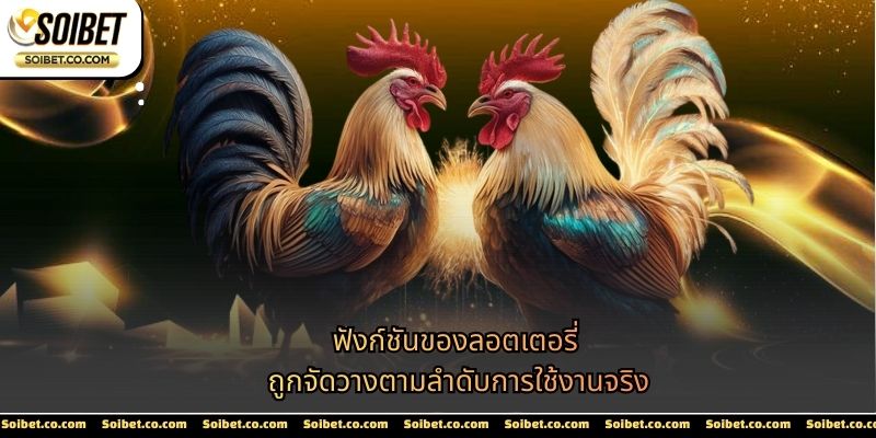 ฟังก์ชันของไก่ชน SOIBET ถูกจัดวางตามลำดับการใช้งานจริง