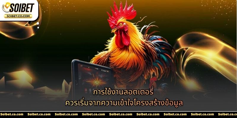 การใช้งานไก่ชน SOIBET ควรเริ่มจากความเข้าใจโครงสร้างระบบ