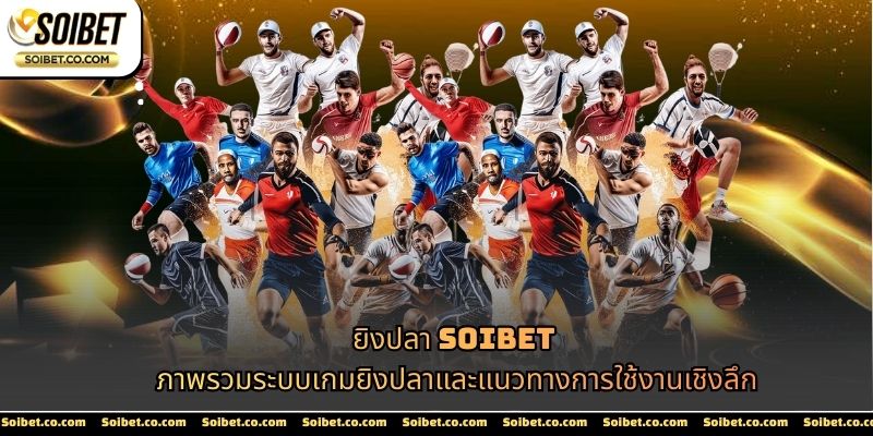 ฟังก์ชันของกีฬา SOIBET ถูกจัดวางตามลำดับการใช้งานจริง