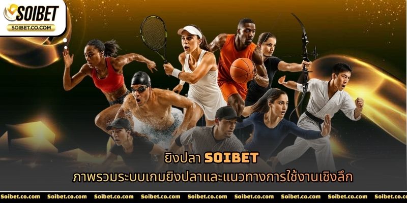 การใช้งานกีฬา SOIBET ควรเริ่มจากความเข้าใจโครงสร้างระบบ