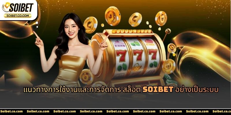 การใช้งานสล็อต SOIBET ควรเริ่มจากความเข้าใจระบบโดยรวม