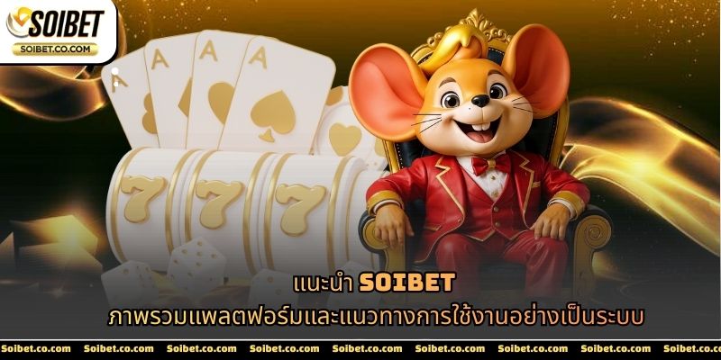 แนะนำ SOIBET
